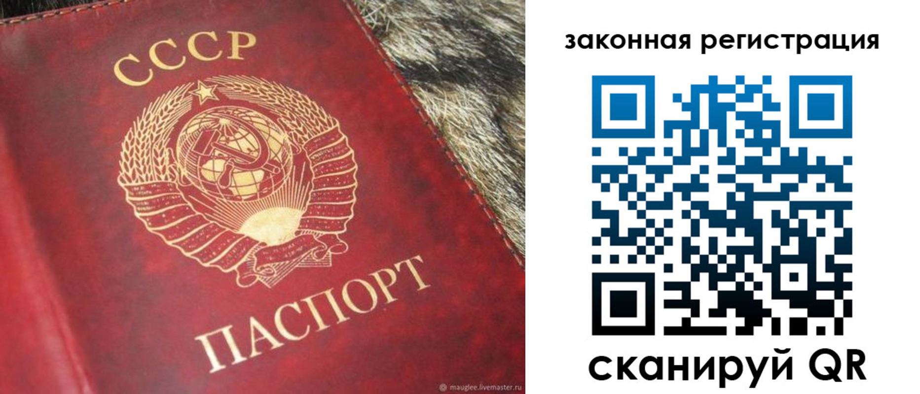 прописка от собственника в Гатчине